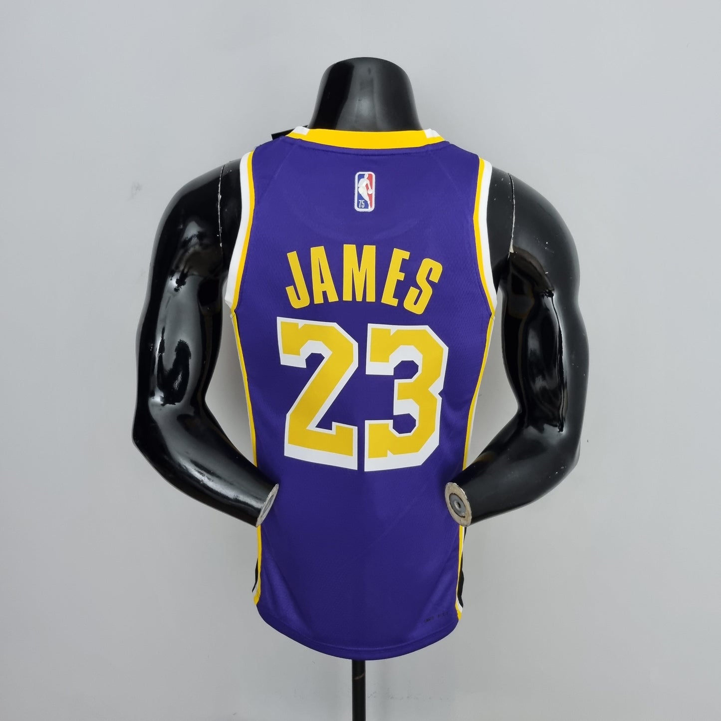 NBA Lakers Jersey #23 Jordan Purple 75th Anniversary - 23/24