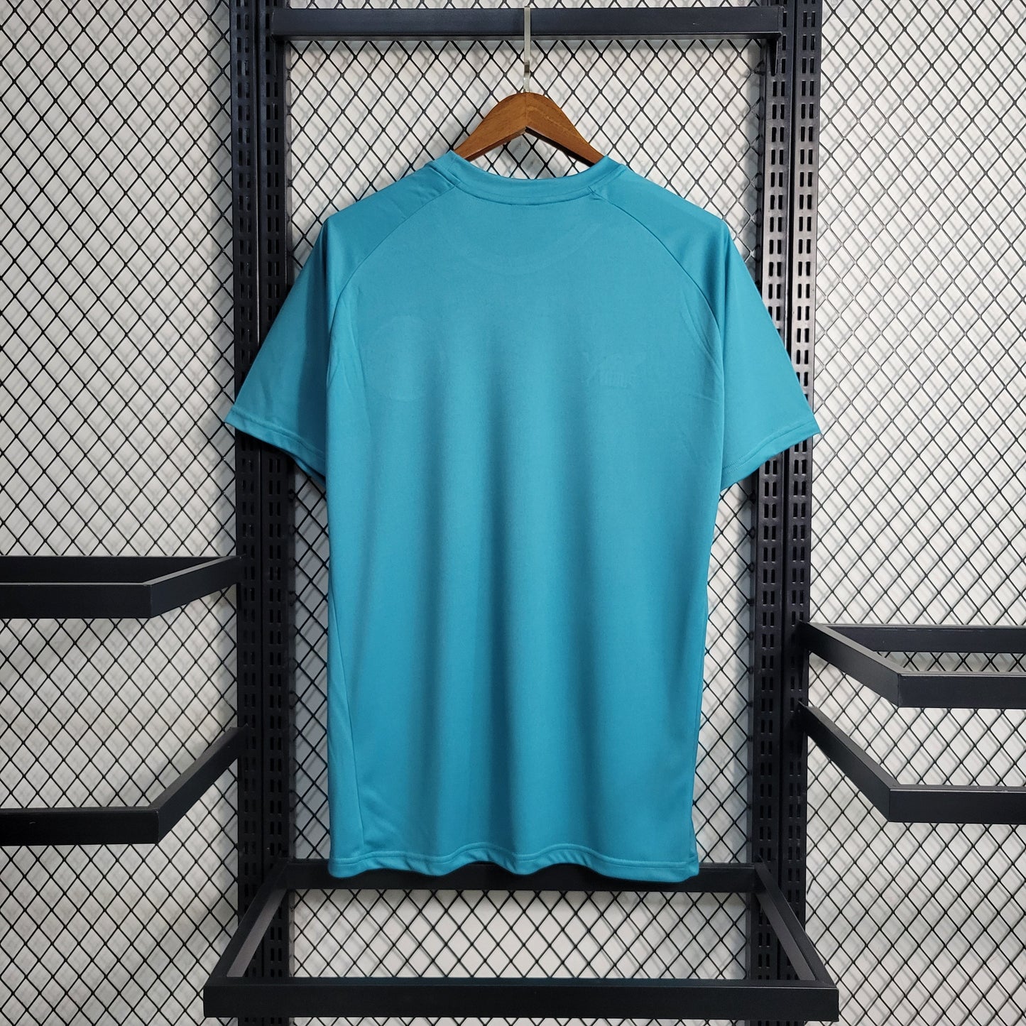 Camisola Palmeiras Treino 23/24 - Puma Adepto Masculina - Verde