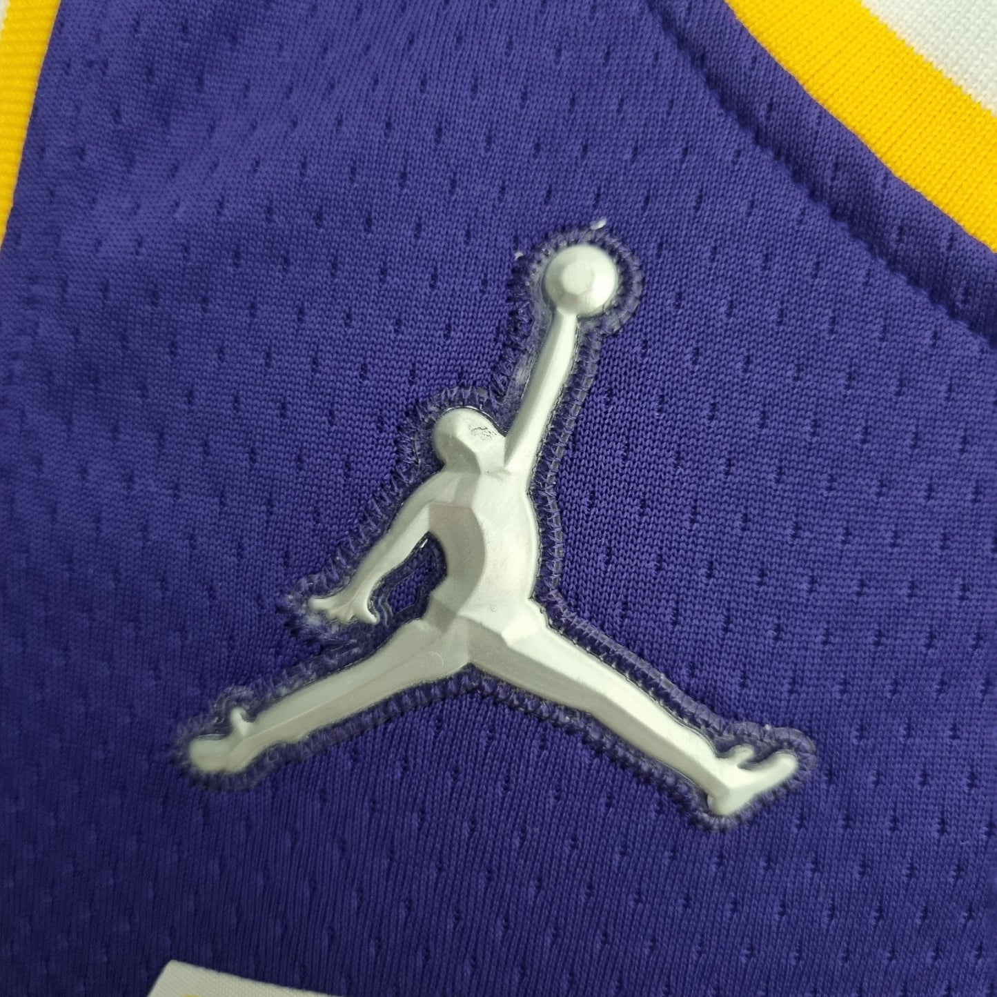 Camisola NBA Lakers #39 Howard Purple 75° Aniversário- 23/24