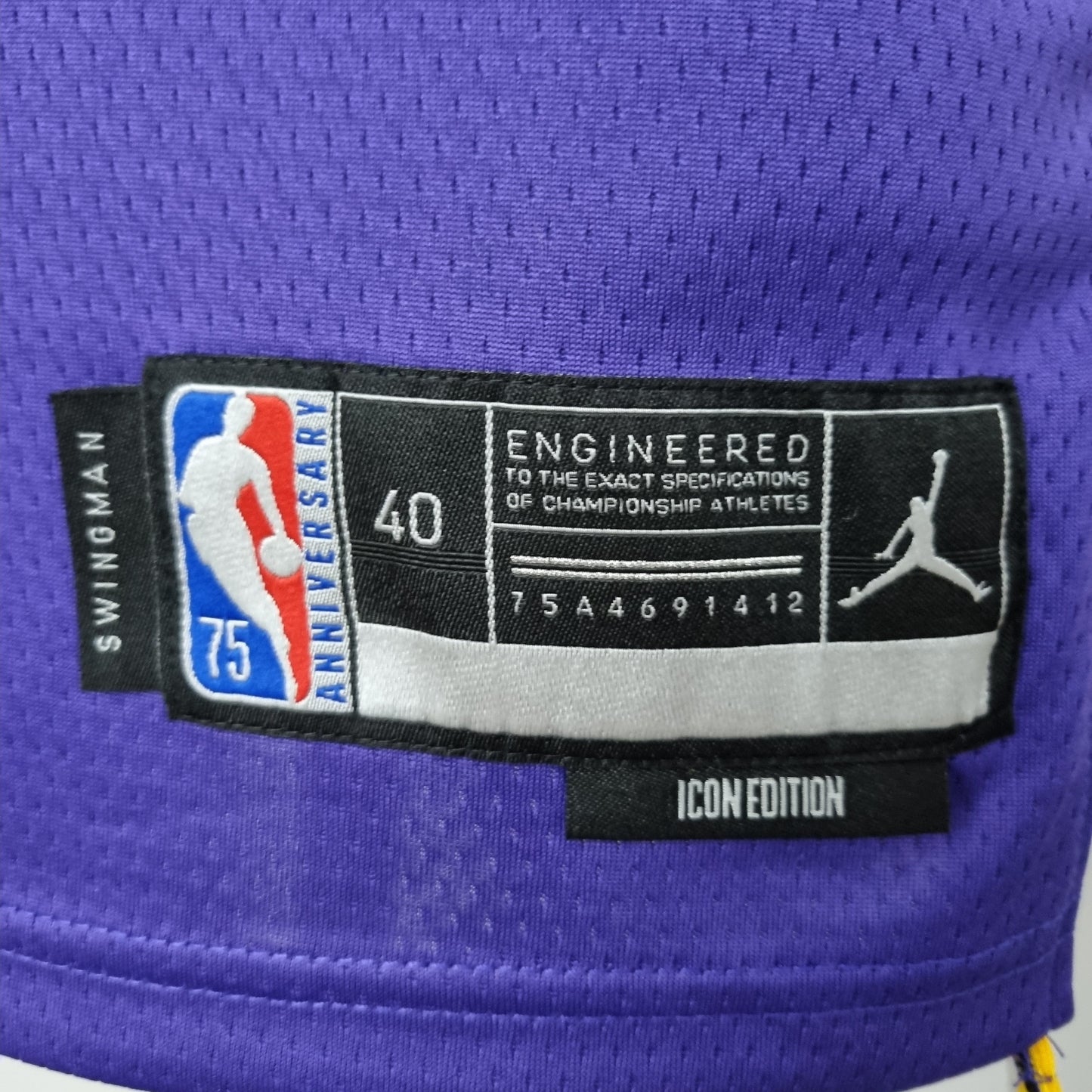 NBA Lakers Jersey #3 Davis Purple 75th Anniversary - 23/24