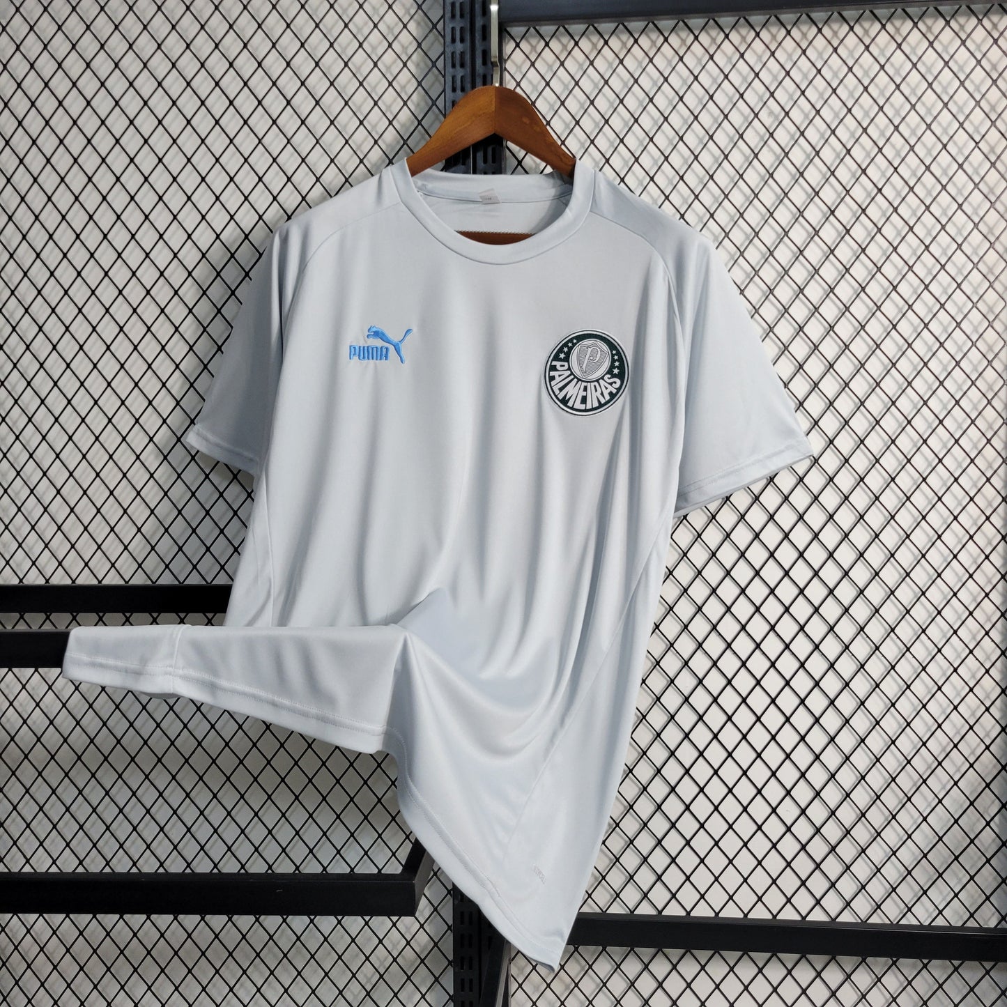 Camisola Palmeiras Treino 23/24 - Puma Adepto Masculina - Cinza