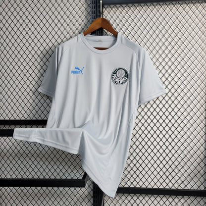 Camisola Palmeiras Treino 23/24 - Puma Adepto Masculina - Cinza