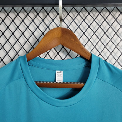 Camisola Palmeiras Treino 23/24 - Puma Adepto Masculina - Verde