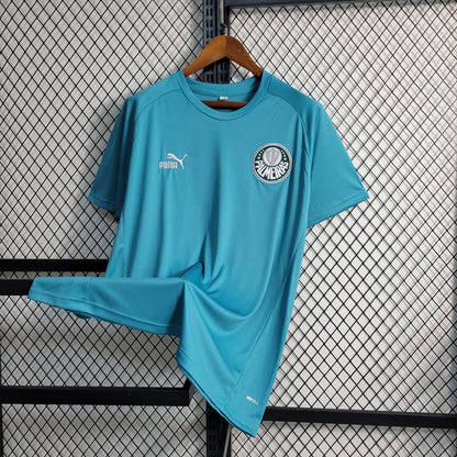 Camisola Palmeiras Treino 23/24 - Puma Adepto Masculina - Verde