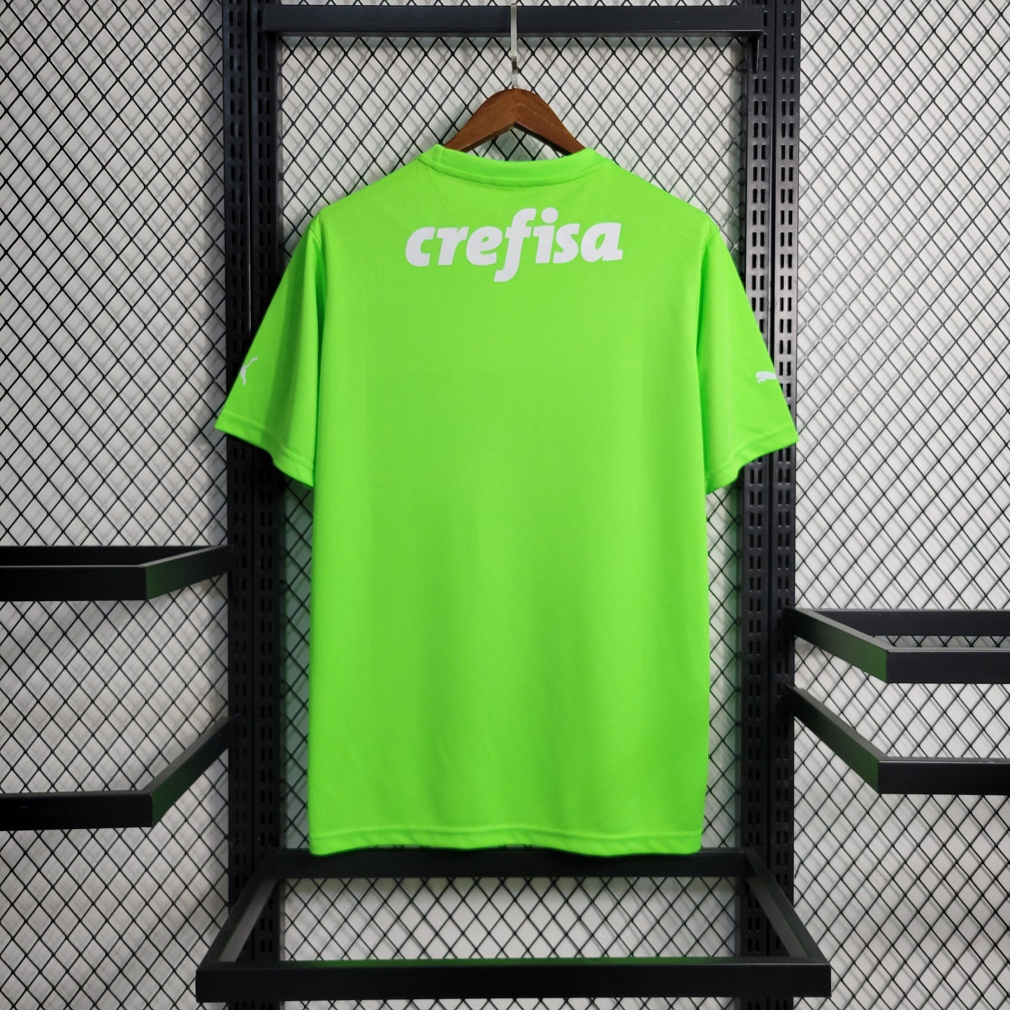 Camisola Palmeiras Guarda Rede 23/24 - Puma Adepto Masculina