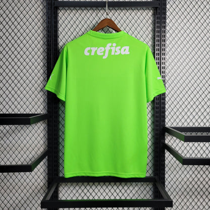 Camisola Palmeiras Guarda Rede 23/24 - Puma Adepto Masculina