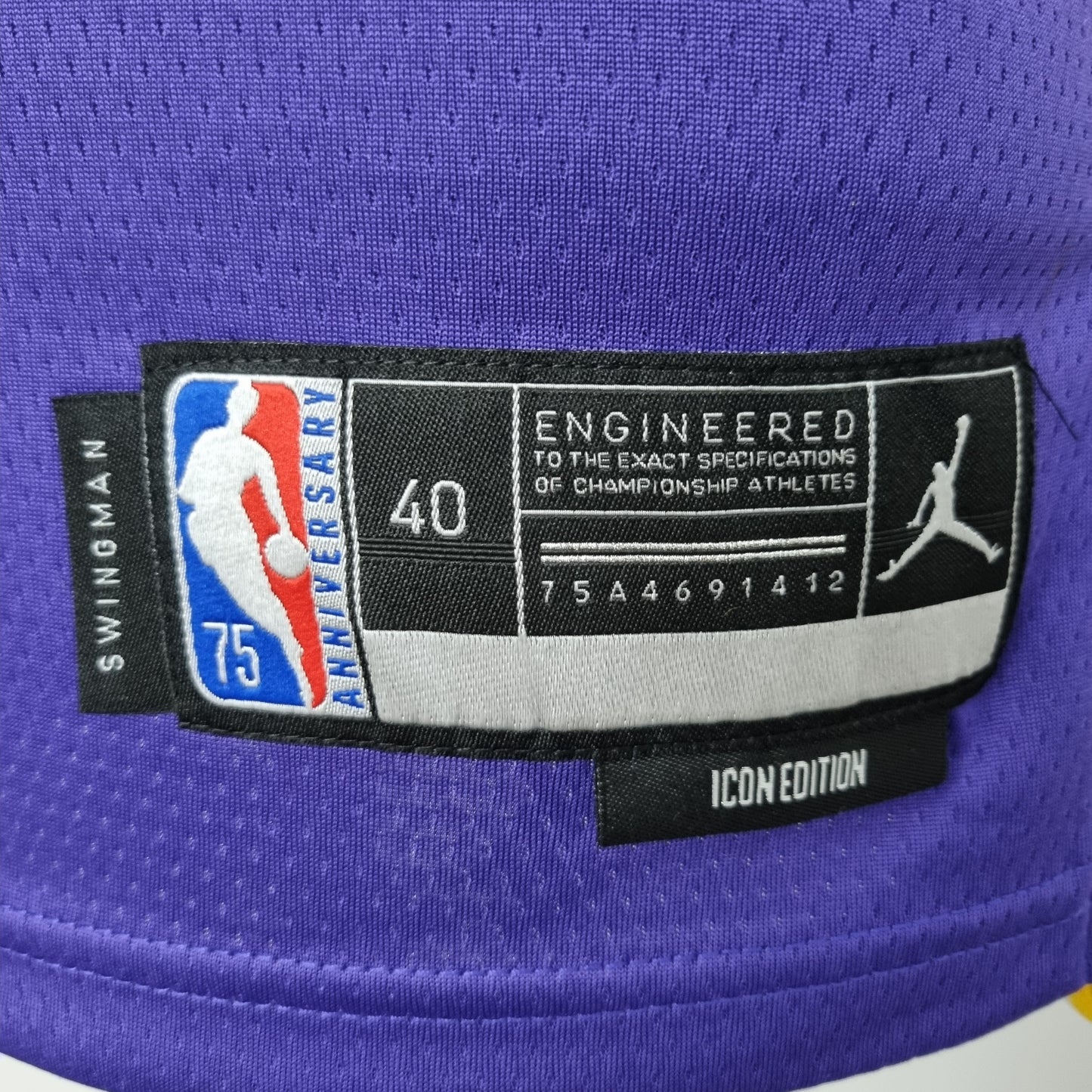 Camisola NBA Lakers #6 Jordan Purple 75° Aniversário  - 23/24