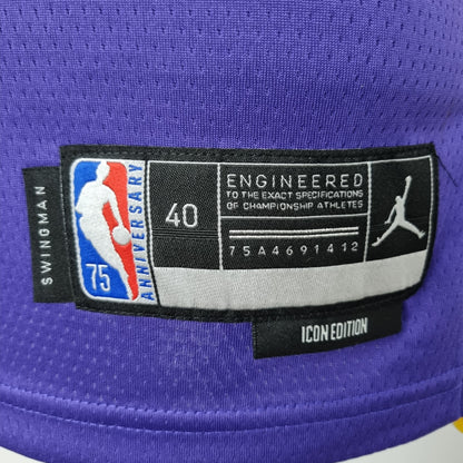 Camisola NBA Lakers #6 Jordan Purple 75° Aniversário  - 23/24