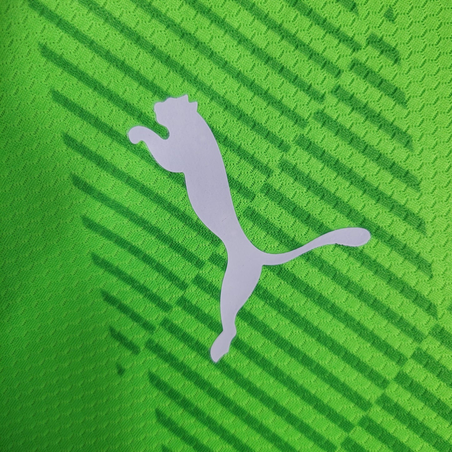 Camisola Palmeiras Guarda Rede 23/24 - Puma Adepto Masculina