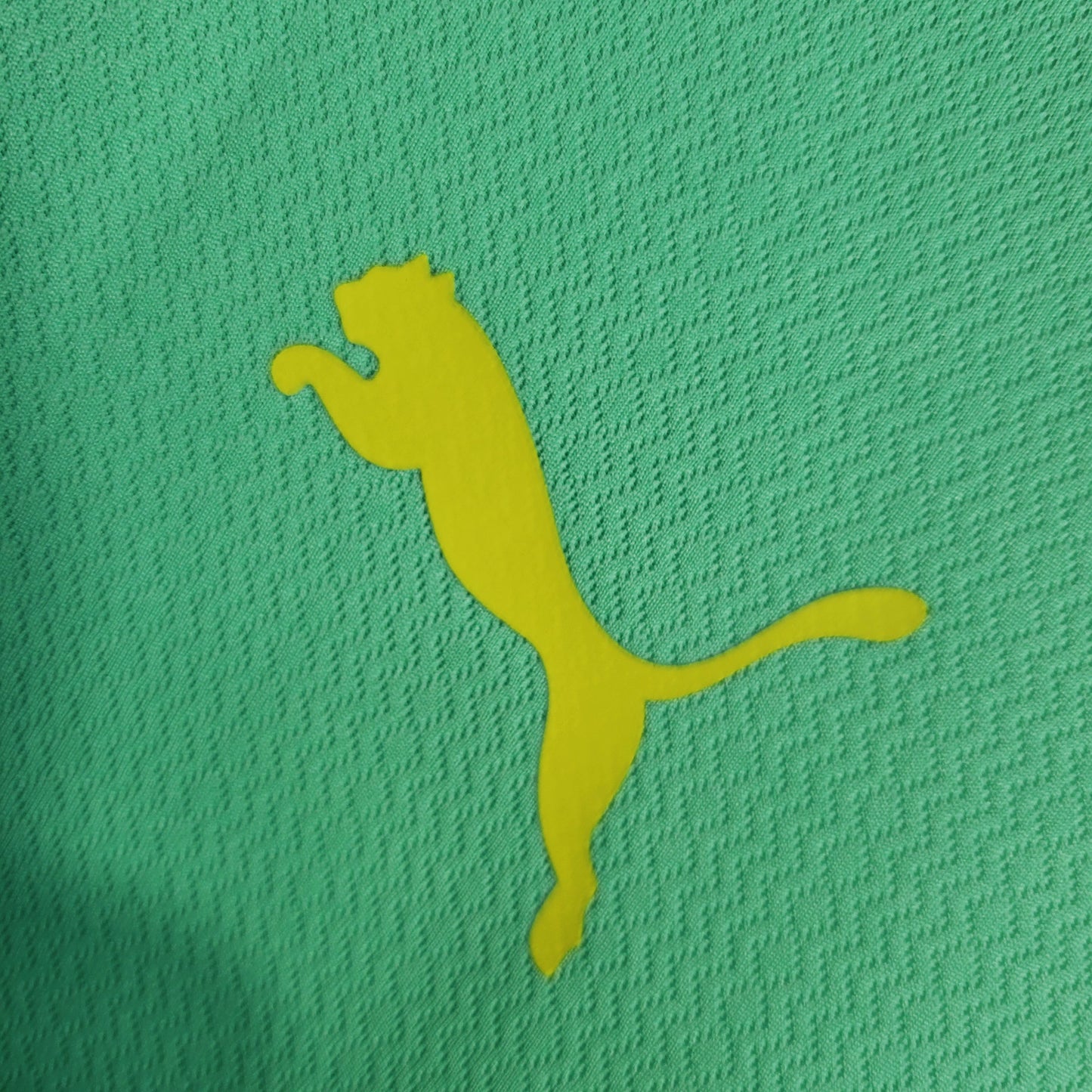 Camisola Palmeiras 23/24 - Puma Adepto Masculina