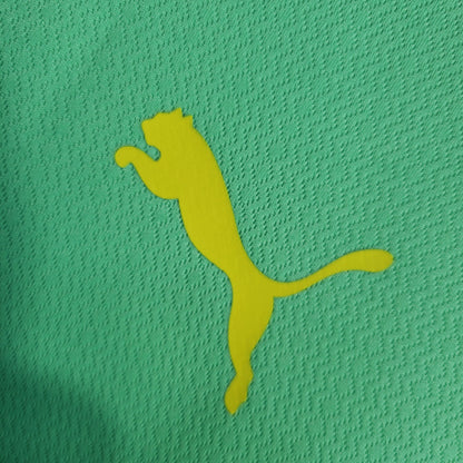 Camisola Palmeiras 23/24 - Puma Adepto Masculina
