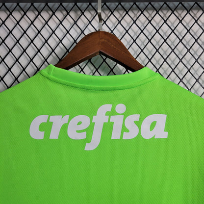 Camisola Palmeiras Guarda Rede 23/24 - Puma Adepto Masculina