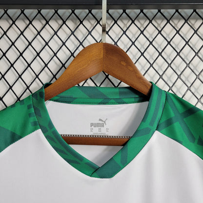 Camisola Palmeiras Treino II 23/24 - Puma Adepto Masculina