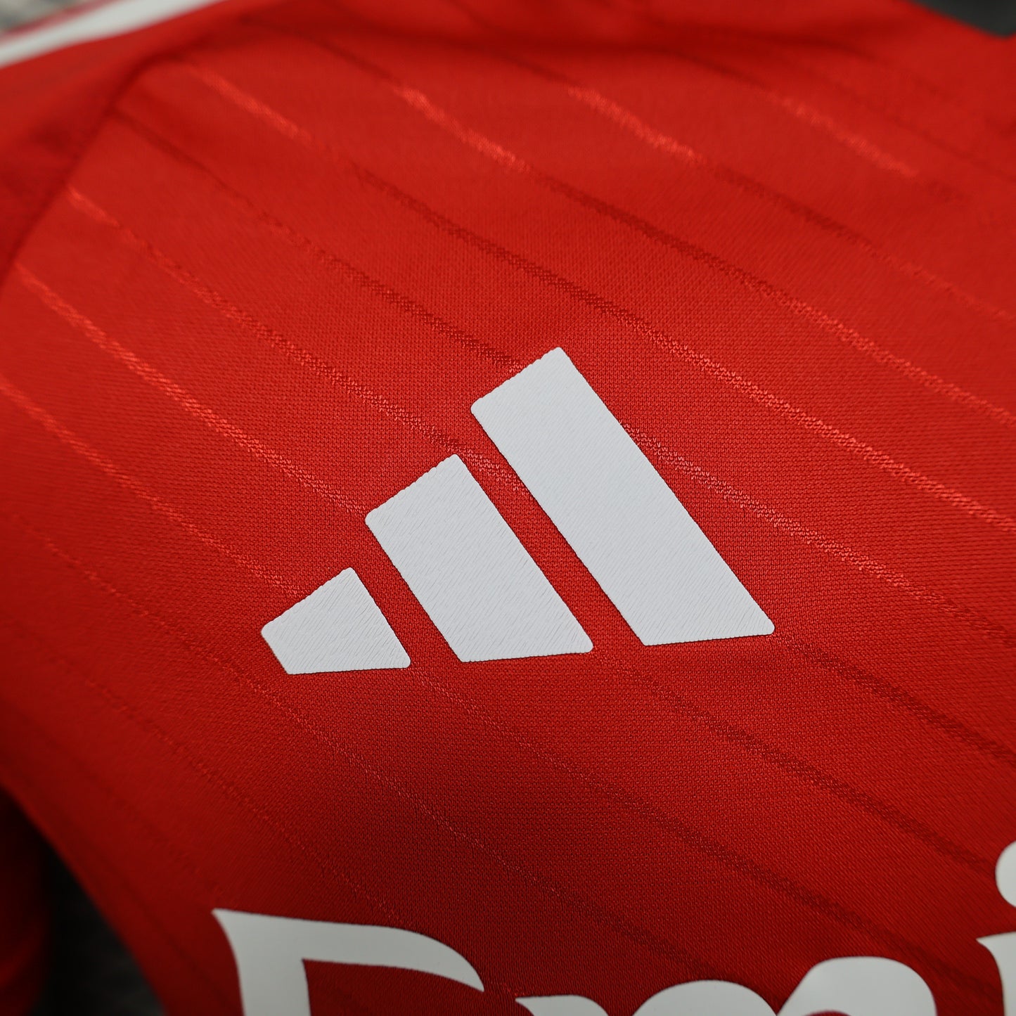 Camisola Benfica 24/25 Home - Versão Jogador - Masculino - Lançamento