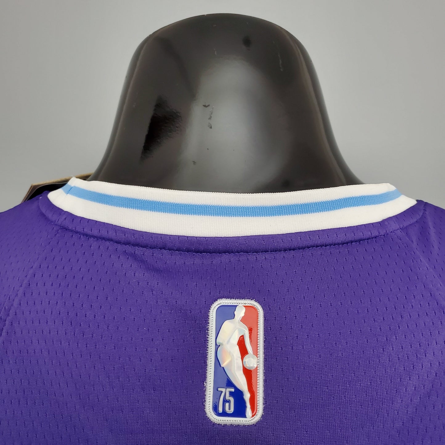 Camisola NBA Lakers #39 Howard City Edition Purple - 23/24