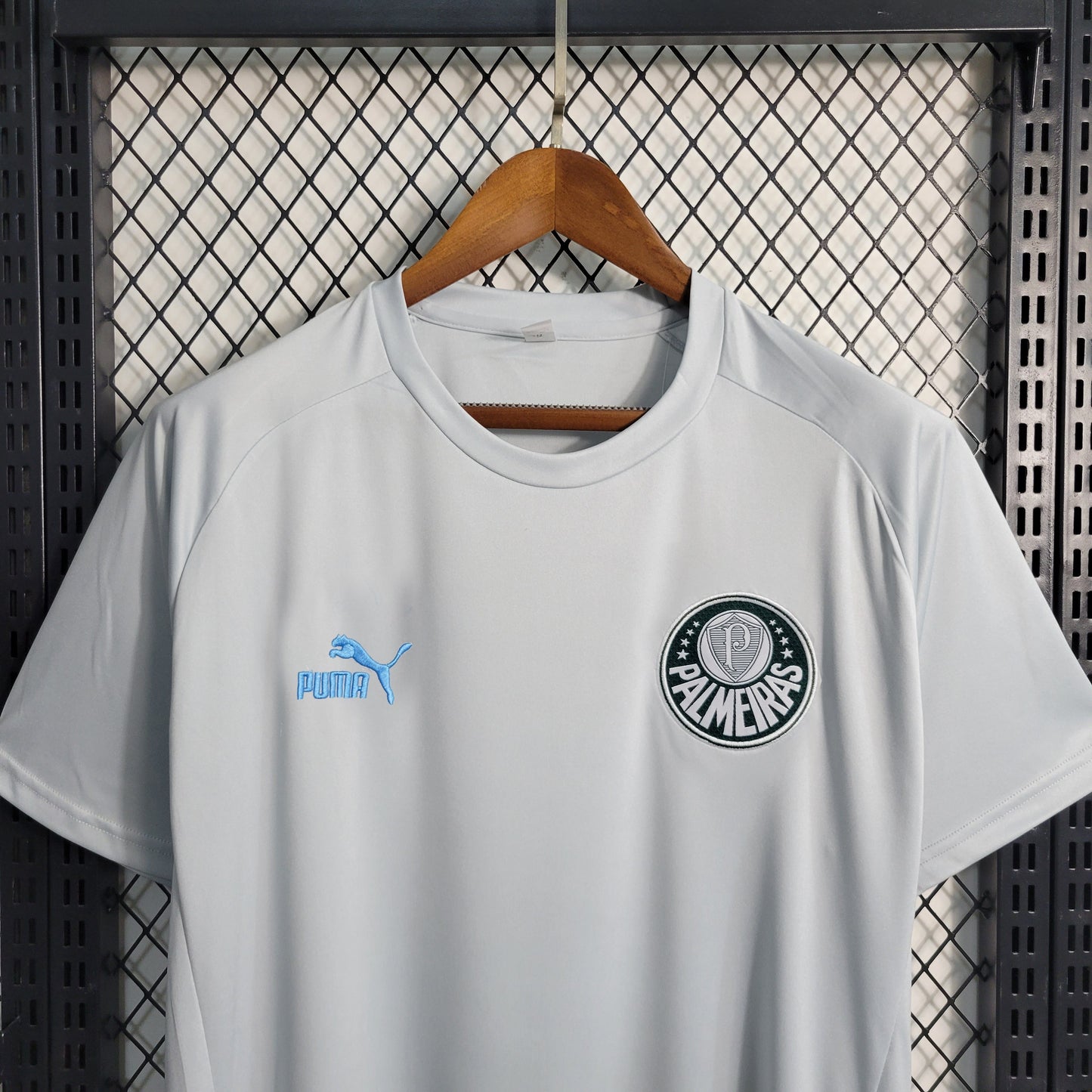 Camisola Palmeiras Treino 23/24 - Puma Adepto Masculina - Cinza