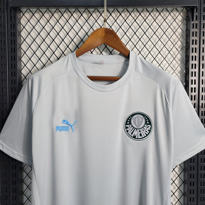 Camisola Palmeiras Treino 23/24 - Puma Adepto Masculina - Cinza