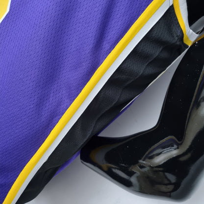 Camisola NBA Lakers #6 Jordan Purple 75° Aniversário  - 23/24