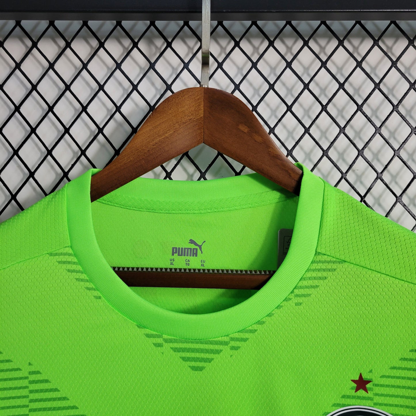 Camisola Palmeiras Guarda Rede 23/24 - Puma Adepto Masculina