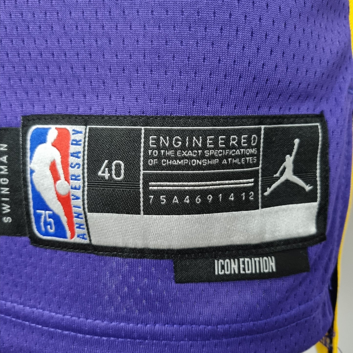 Camisola NBA Lakers #39 Howard Purple 75° Aniversário- 23/24