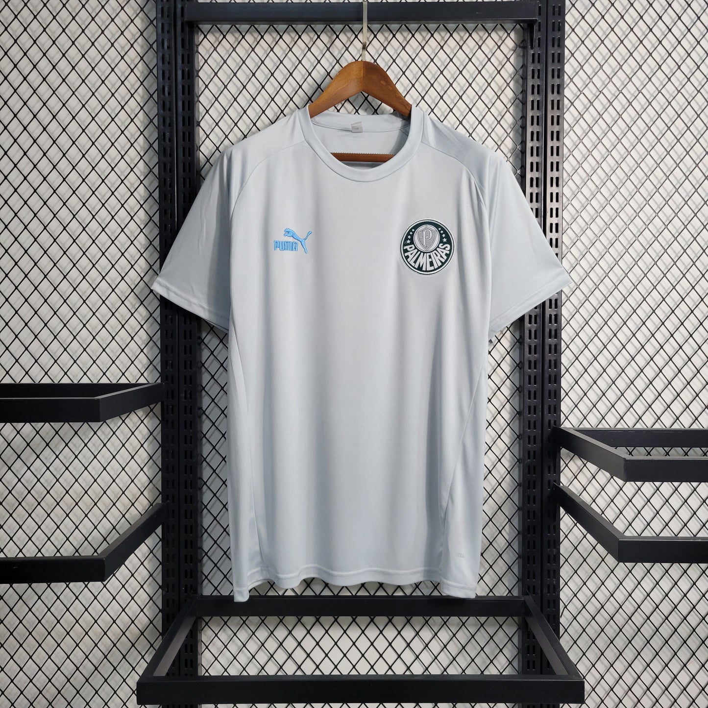 Camisola Palmeiras Treino 23/24 - Puma Adepto Masculina - Cinza