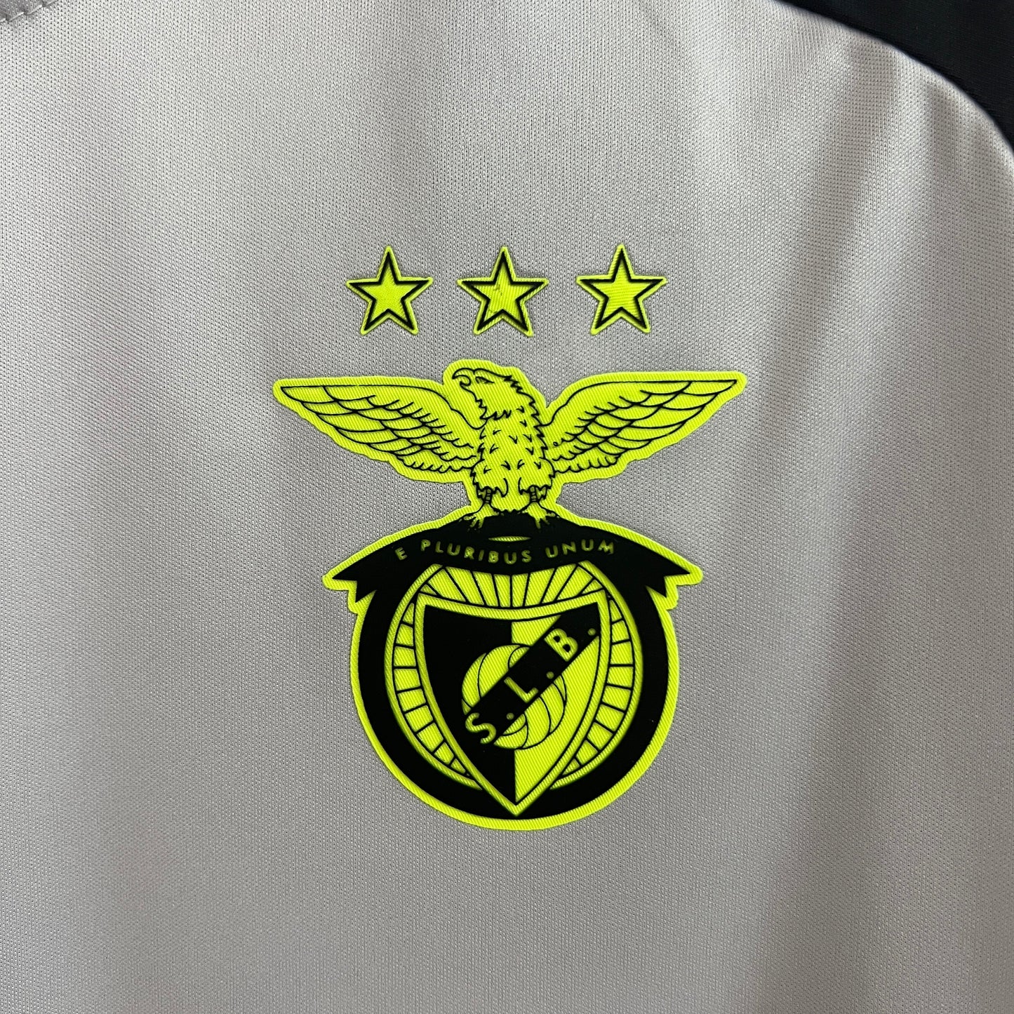 Camisola Benfica 24/25 Treinamento Cinza - Versão Adepto - Masculino