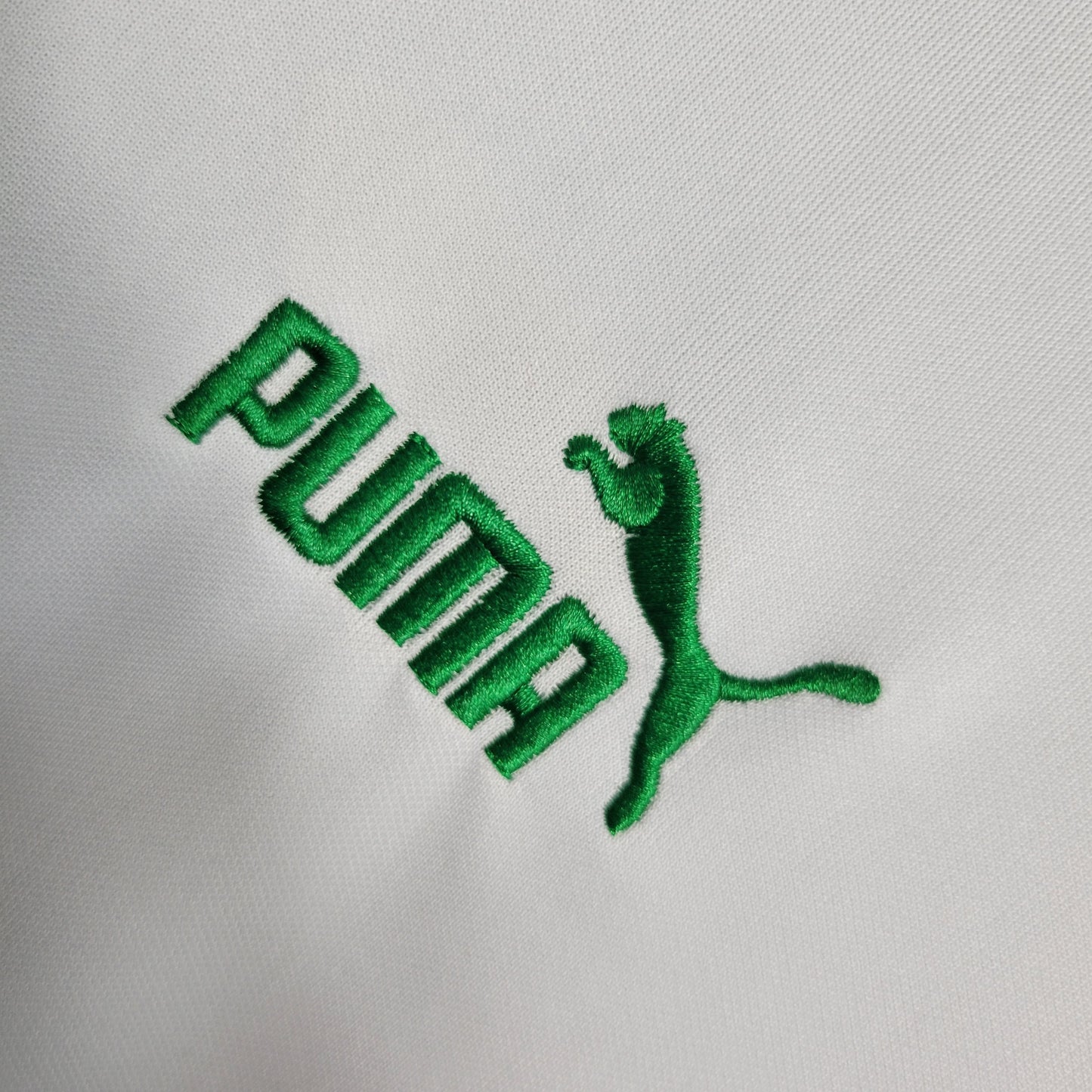 Camisola Palmeiras Treino II 23/24 - Puma Adepto Masculina