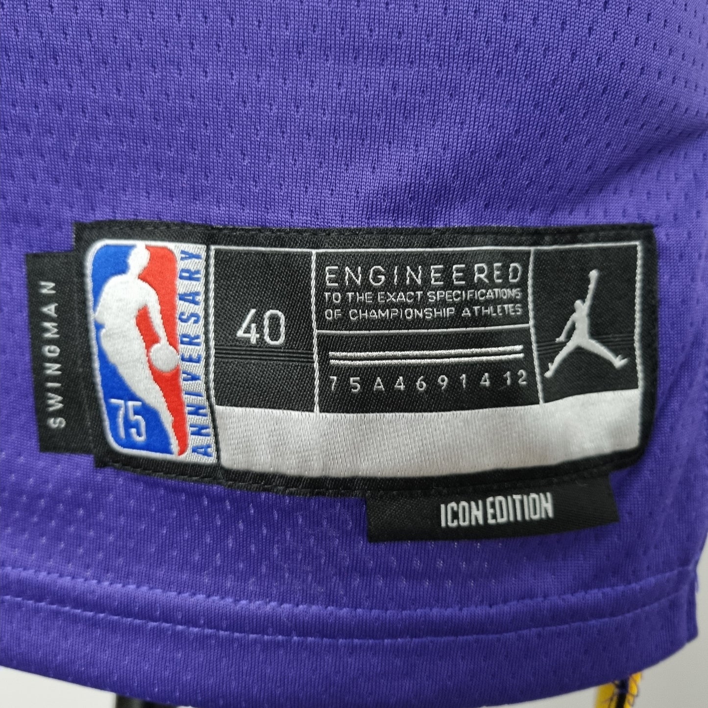 NBA Lakers Jersey #23 Jordan Purple 75th Anniversary - 23/24