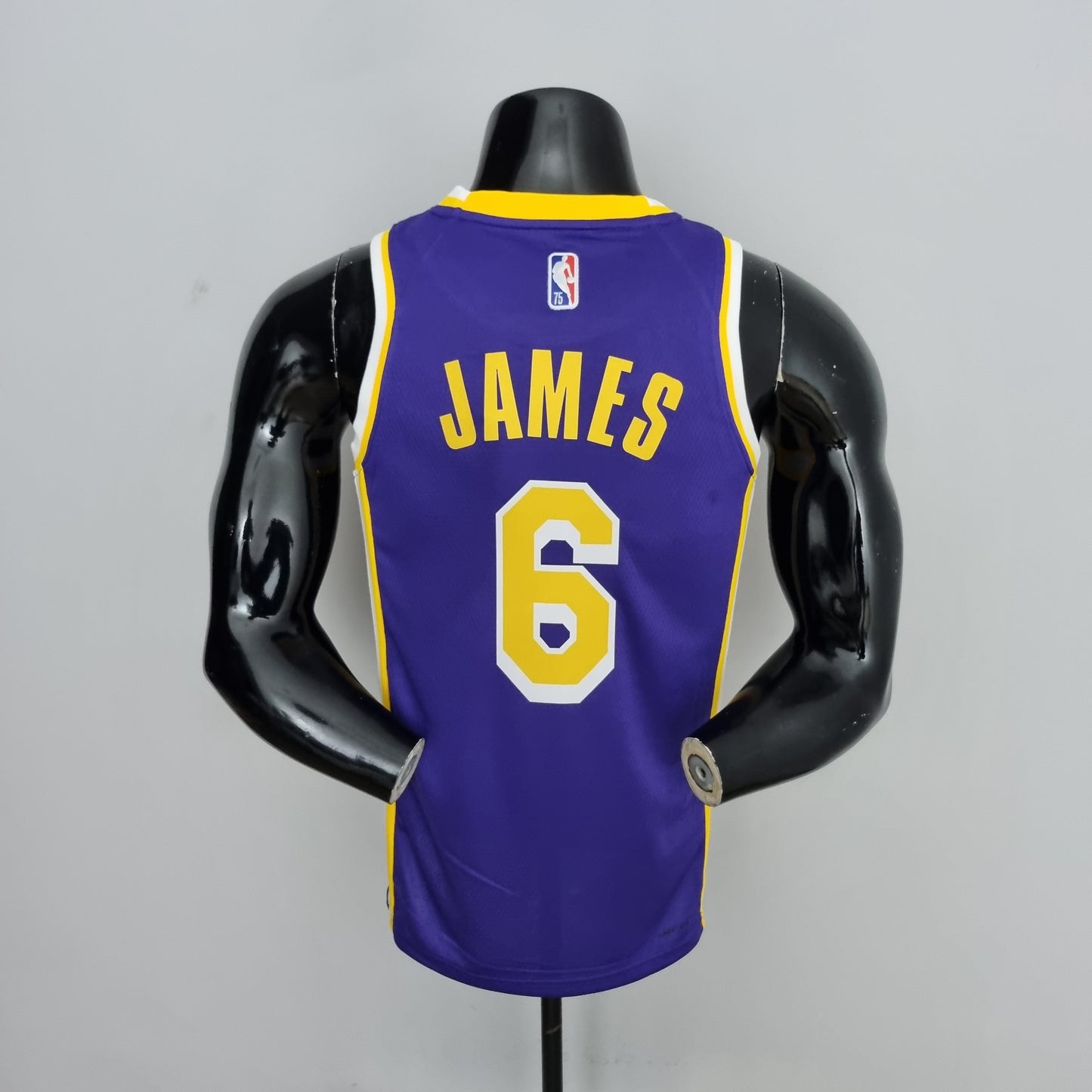 Camisola NBA Lakers #6 Jordan Purple 75° Aniversário  - 23/24