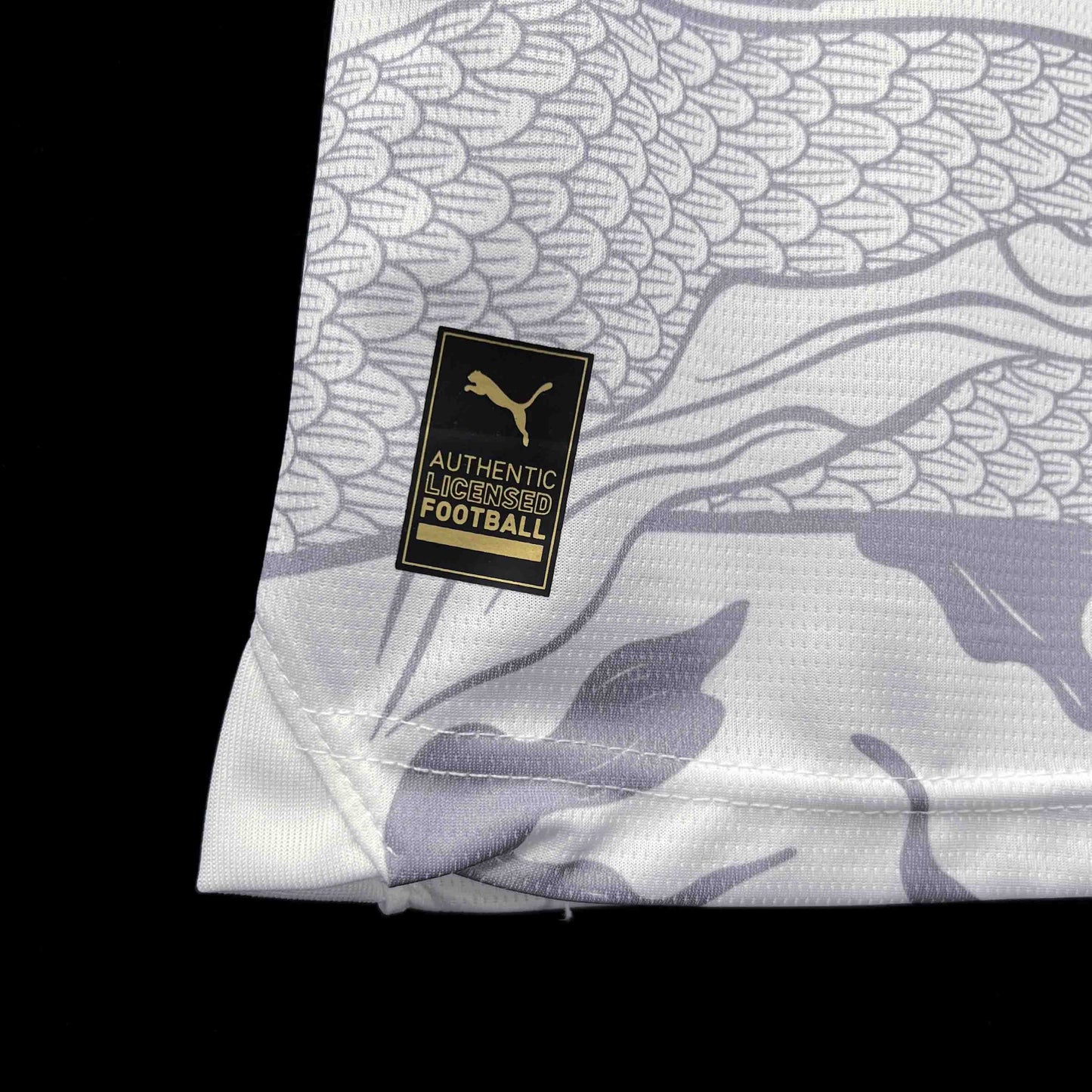 Camisola Manchester City Dragon 24/25 - Versão Adepto - Lançamento