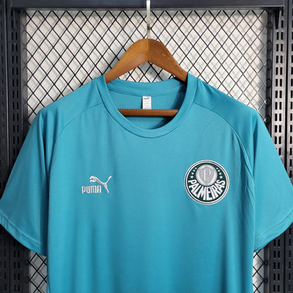 Camisola Palmeiras Treino 23/24 - Puma Adepto Masculina - Verde