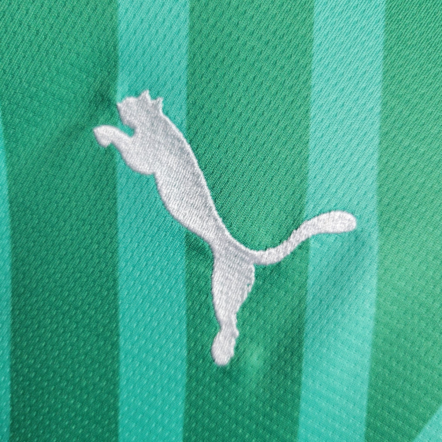 Camisola Milan Guarda Redes 23/24 Puma Adepto Masculina