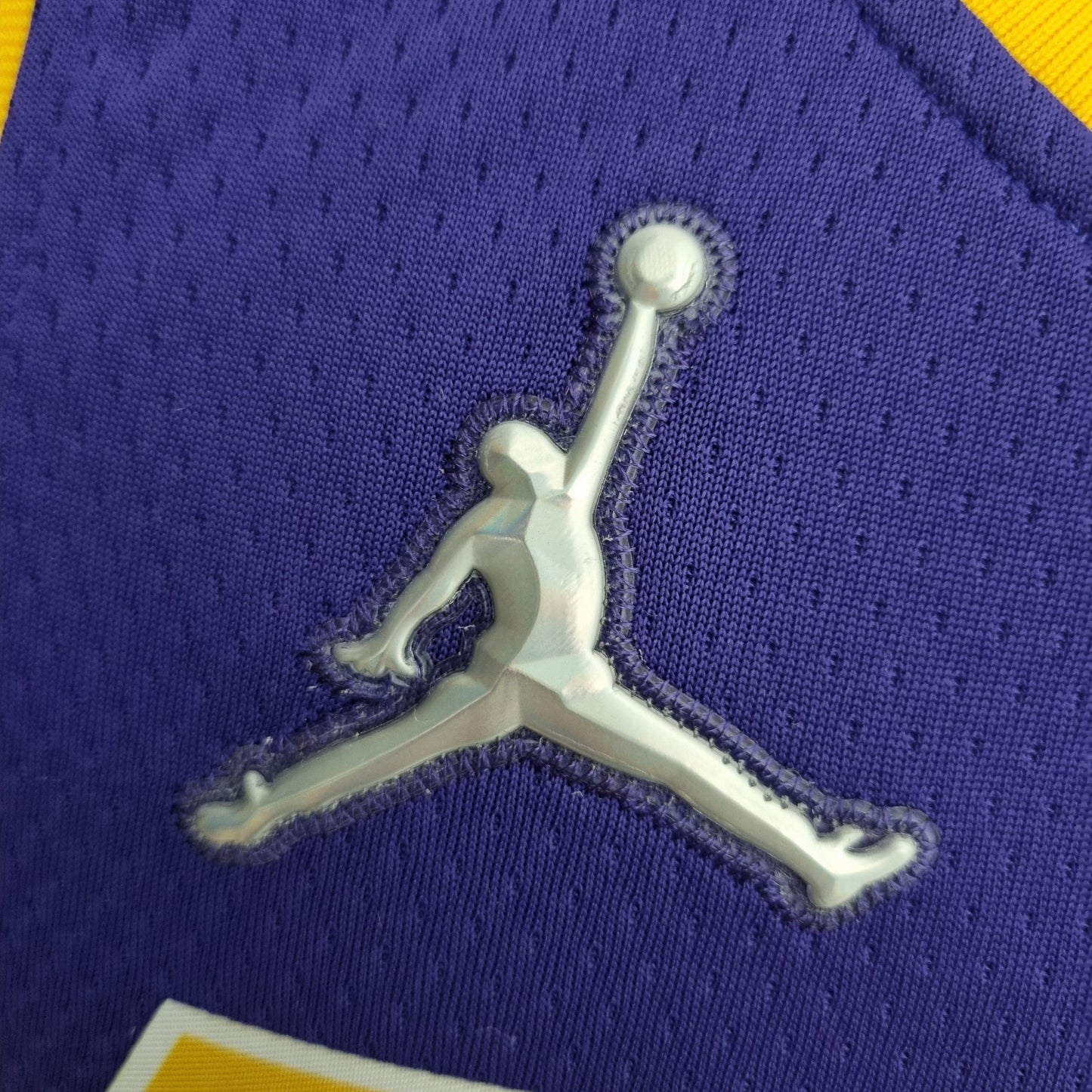 Camisola NBA Lakers #6 Jordan Purple 75° Aniversário  - 23/24