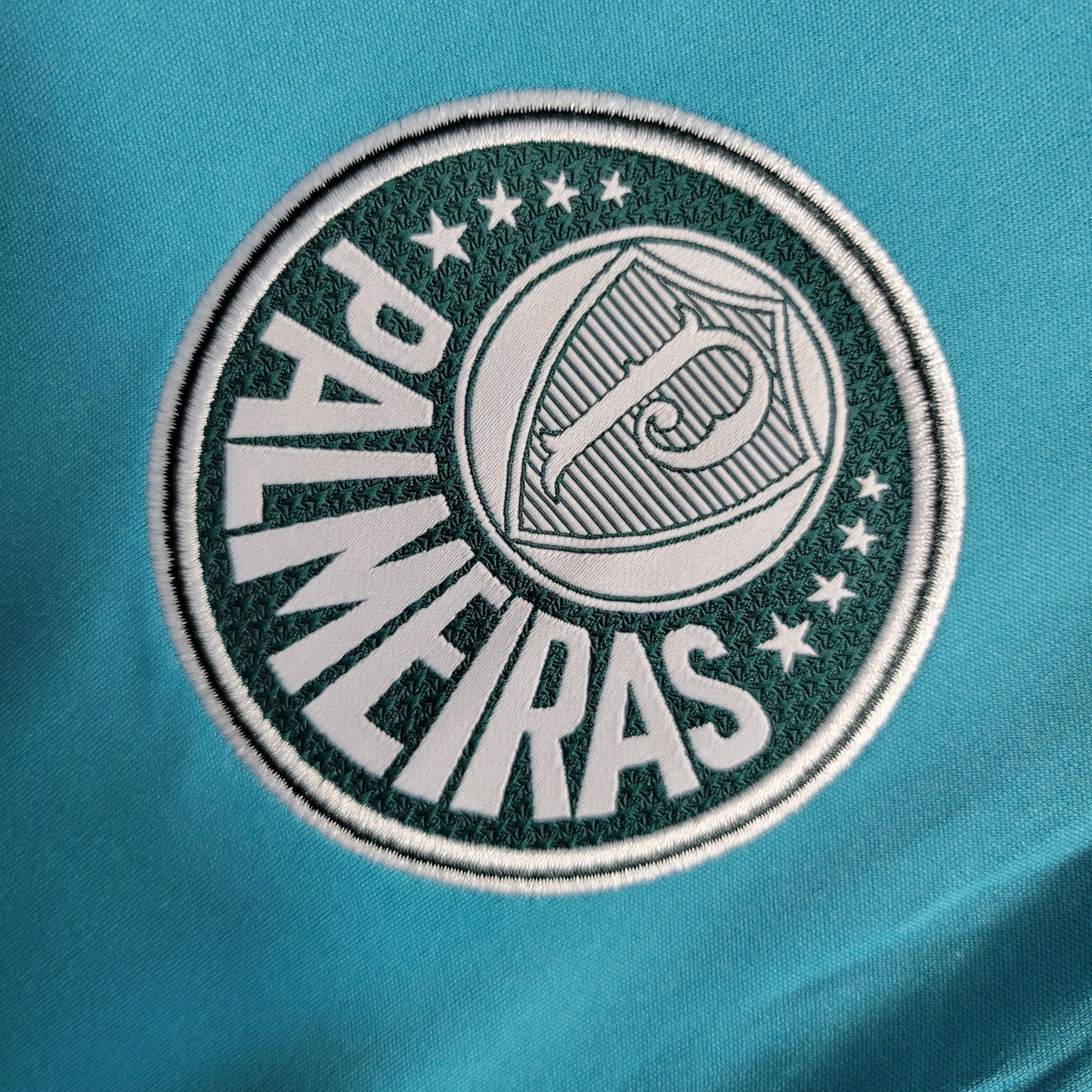 Camisola Palmeiras Treino 23/24 - Puma Adepto Masculina - Verde