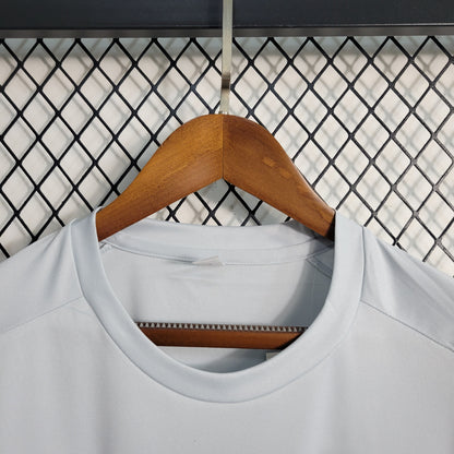 Camisola Palmeiras Treino 23/24 - Puma Adepto Masculina - Cinza