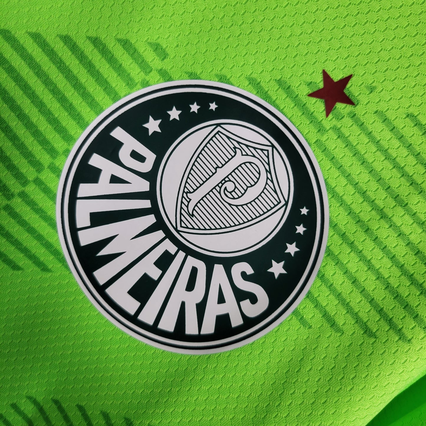 Camisola Palmeiras Guarda Rede 23/24 - Puma Adepto Masculina