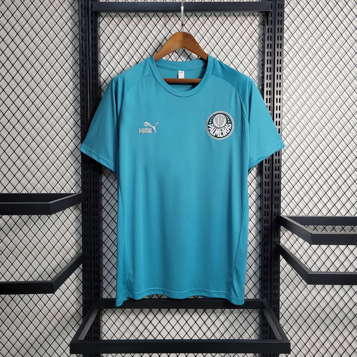 Camisola Palmeiras Treino 23/24 - Puma Adepto Masculina - Verde