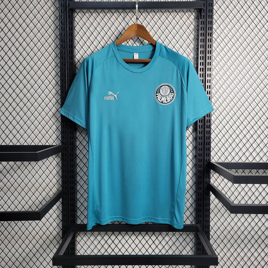 Camisola Palmeiras Treino 23/24 - Puma Adepto Masculina - Verde