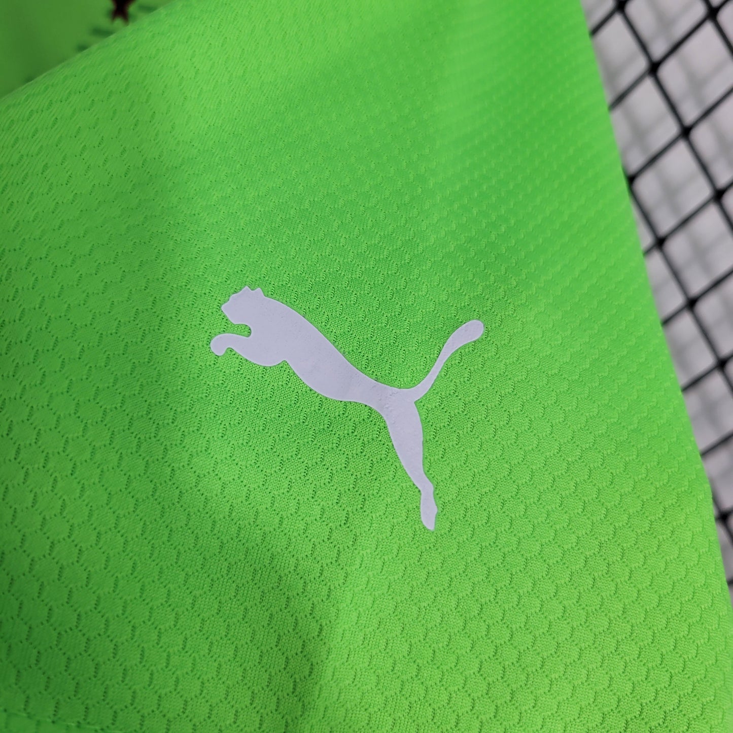 Camisola Palmeiras Guarda Rede 23/24 - Puma Adepto Masculina