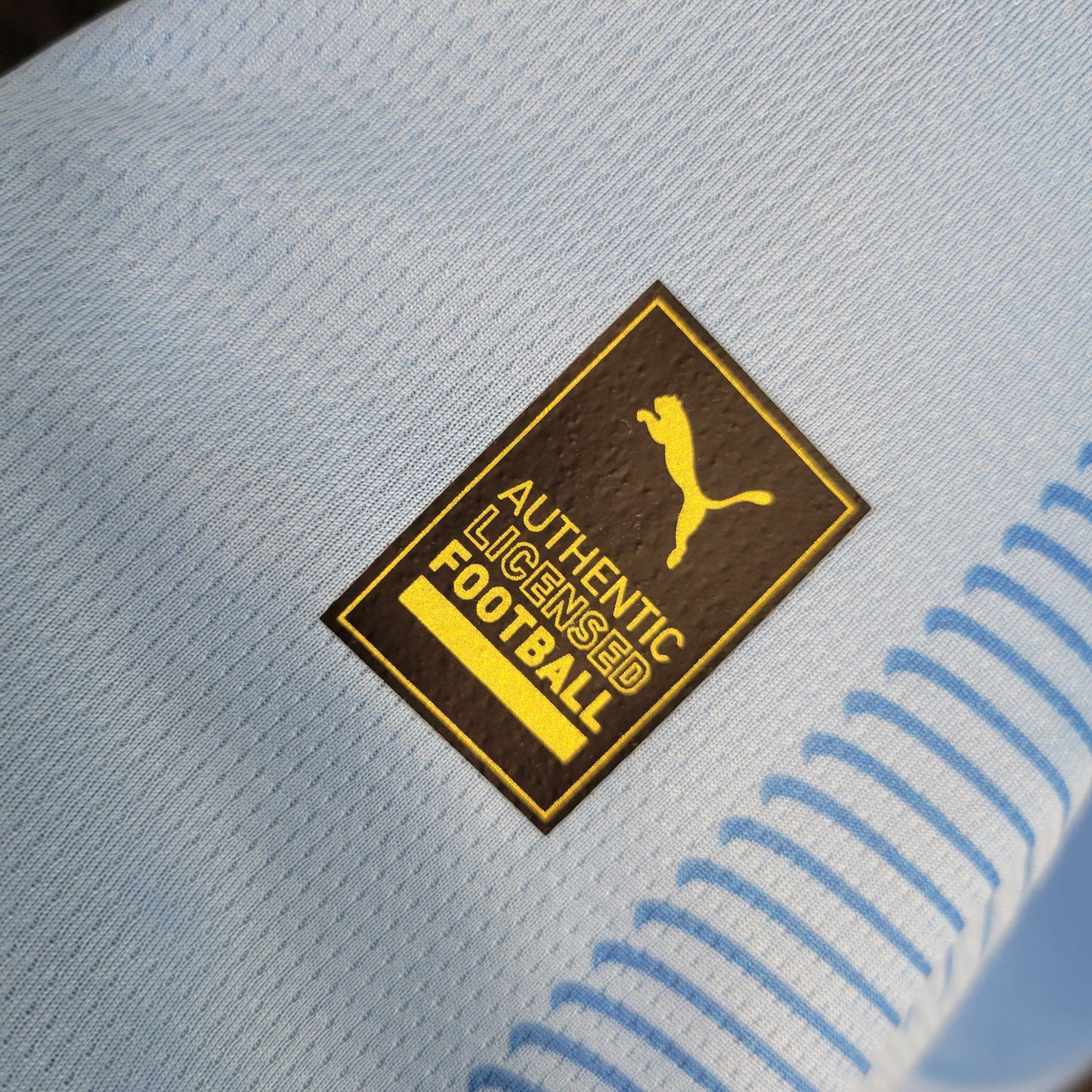 Camisola Manchester City Home 23/24 - Puma Adepto Masculina