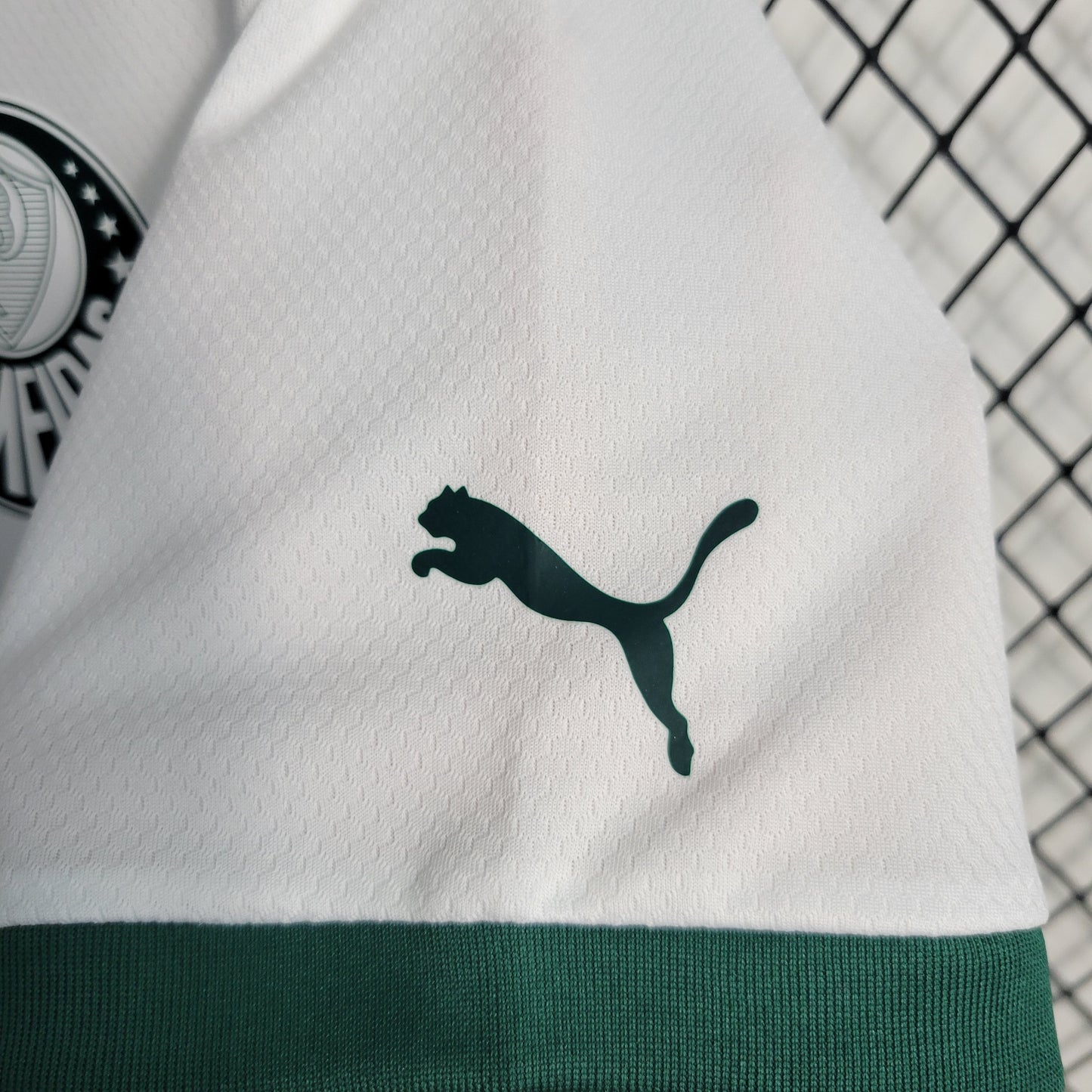 Camisola Palmeiras Away 23/24 - Puma Adepto Masculina