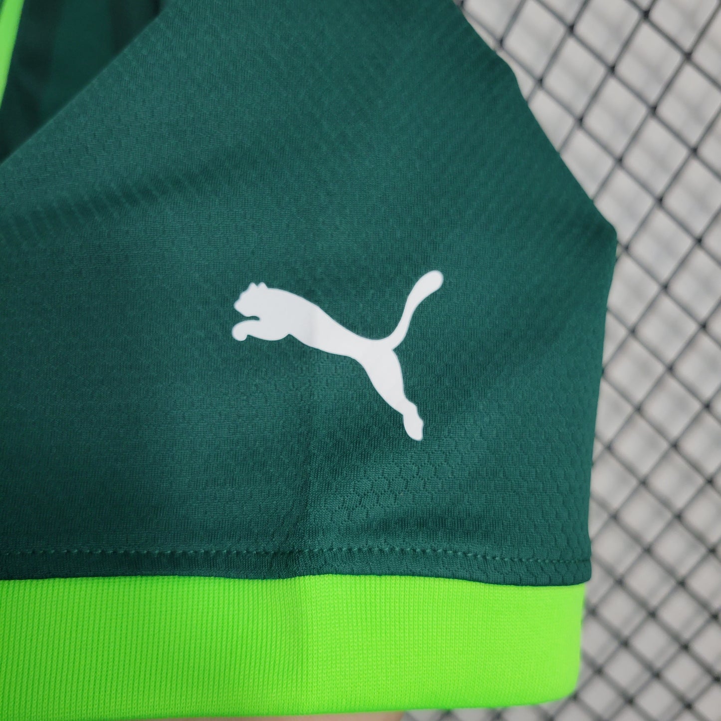 Camisola Palmeiras Home 23/24 - Puma Adepto Masculina