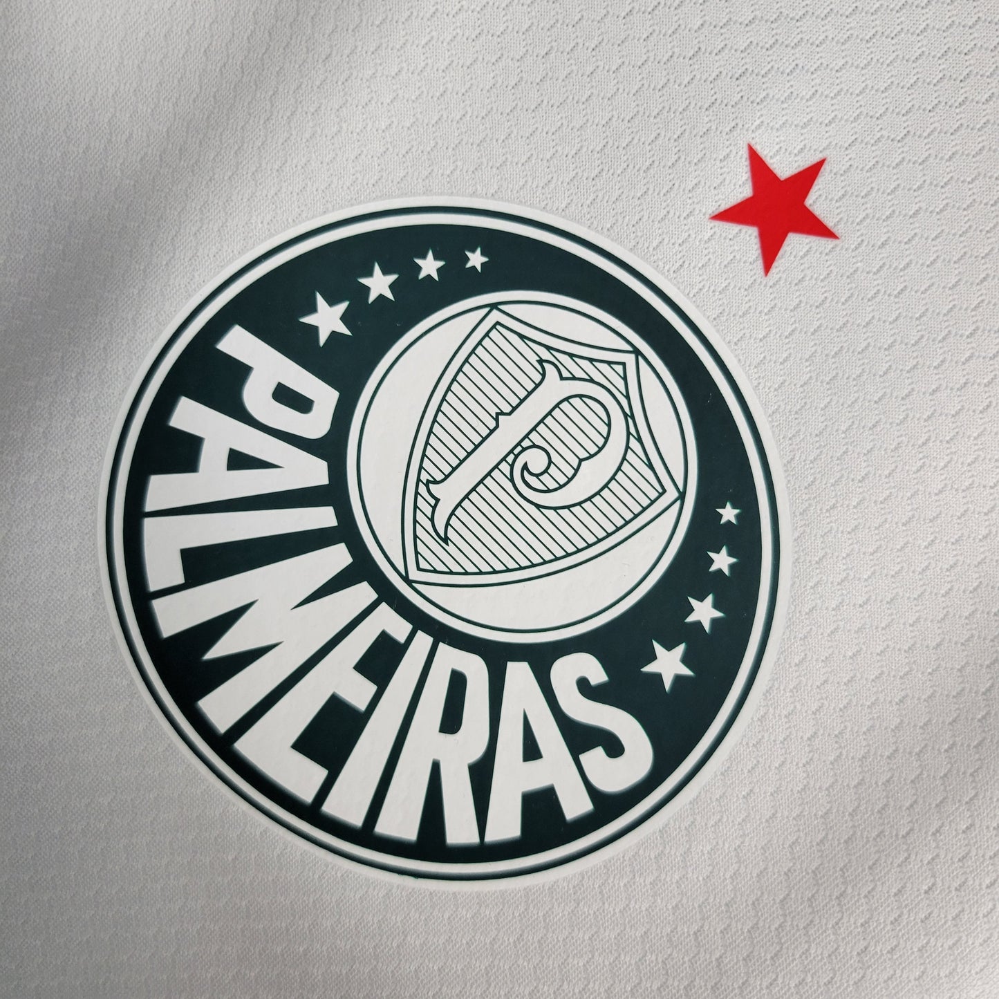 Camisola Palmeiras Away 23/24 - Puma Adepto Masculina