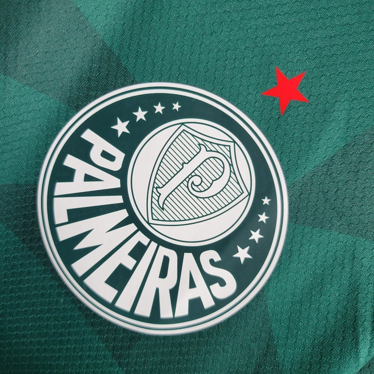 Camisola Palmeiras Home 23/24 - Puma Adepto Masculina